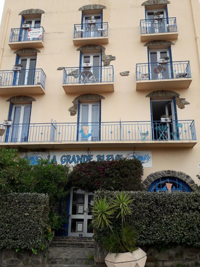 Banyuls La Grande Bleue : Studio T1 Εξωτερικό φωτογραφία