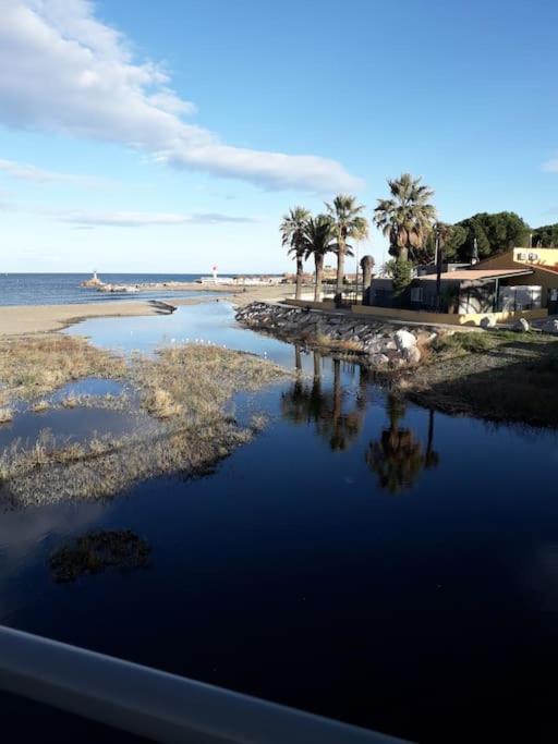 Banyuls La Grande Bleue : Studio T1 Εξωτερικό φωτογραφία