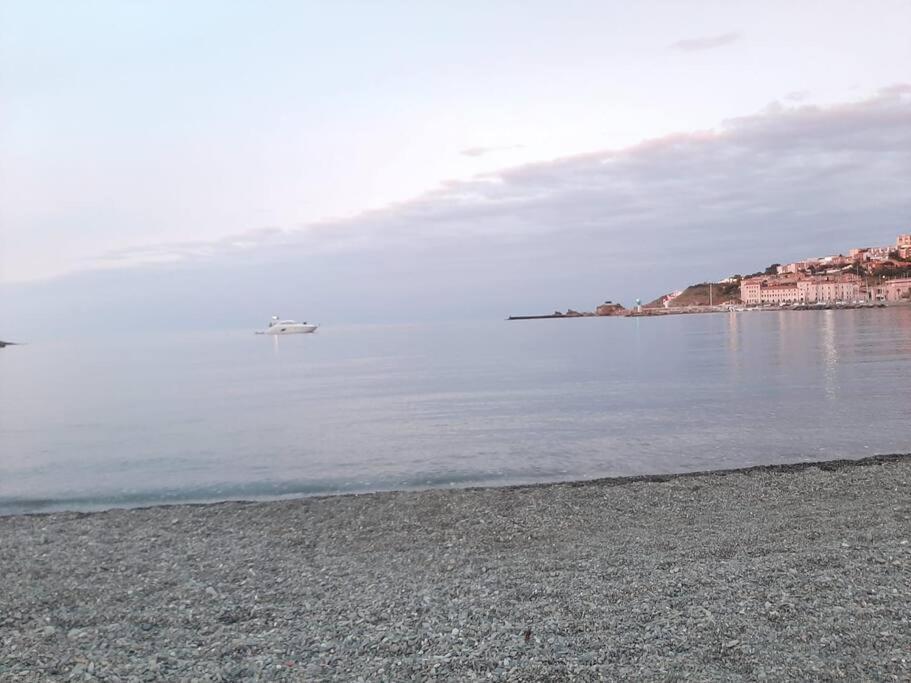 Banyuls La Grande Bleue : Studio T1 Εξωτερικό φωτογραφία