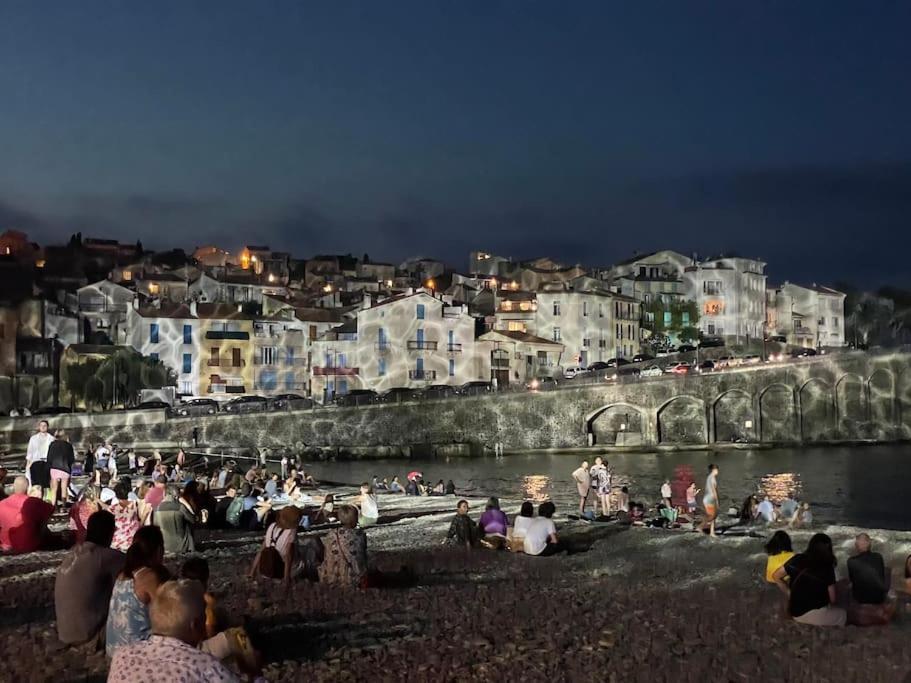 Banyuls La Grande Bleue : Studio T1 Εξωτερικό φωτογραφία