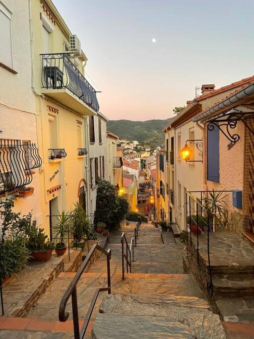 Banyuls La Grande Bleue : Studio T1 Εξωτερικό φωτογραφία